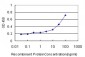 OLR1 Antibody (monoclonal) (M08)